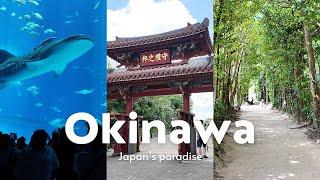 A week in Okinawa, Japan’s paradise vol.2  Solo travel VLOG 