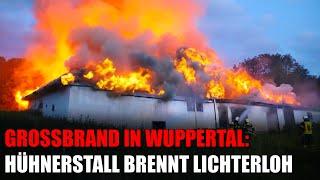 Großbrand in Wuppertal: Hühnerstall brennt lichterloh | 05.06.2024