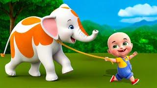 Baby Elephant in The Farm Song New Compilation | Animals Farm | Baby Cartoon & Kids Songs Baby Bobo