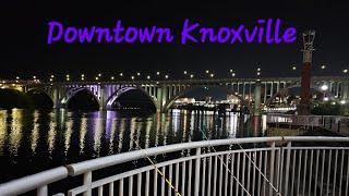 Are there Carp in Downtown Knoxville? Come on let's see!