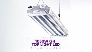 LUMATEK EU | 1050W GH RED+BLUE -  PROFESSIONAL GREENHOUSE LED