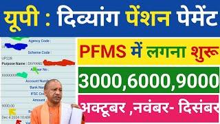 यूपी : दिव्यांग पेंशन पेमेंट Pfms में लगना शुरू | UP Pension | अक्टूबर, नवंबर- दिसंबर 2024 | पेंशन |