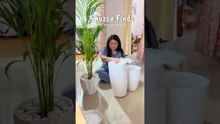 Ghor hojaboloi indoor plants r bostu keitaman kinilu️ Amazon Finds #ytshorts #ashortaday