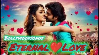 Eternal Love!Non Stop bollywood Romantic songs_2024 || Latest Bollywood best song