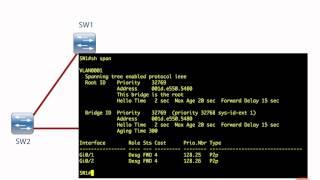 IEEE 802 1D Example