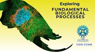 Exploring  fundamental  biological processes #cellbiology #developmentalbiology