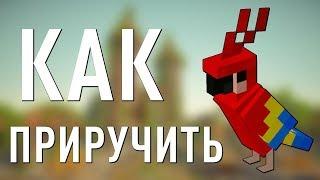 КАК ПРИРУЧИТЬ ПОПУГАЯ В MINECRAFT? | HOW TO TRAIN YOUR PARROT IN MINECRAFT?