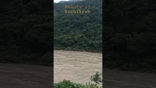 Monsoon | Ganga river | Rishikesh | Nature #rishikesh #gangariver #nature #peacefullife #travel