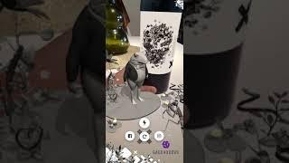 Mosquita Muerta Wines App Realidad Aumentada Vino (Sapo + Cordero)