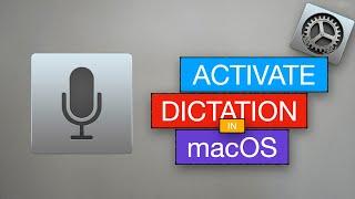 How to Use Dictation in macOS | Tech to the Point | Neev THM