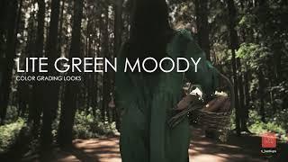 lite Green Moody Presets Ri Adobe premiere pro color grading presets