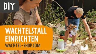 DIY: Wachtelstall einrichten | Wachtel-Shop.com