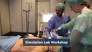 Hands-on learning through simulation workshops