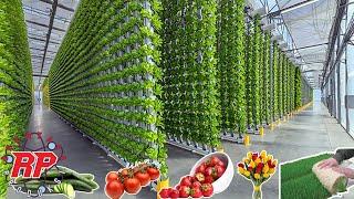 HYDROPONIC FARMING |EXAMPLES OF THE FUTURE OF ENVIRONMENTALLY FRIENDLY FARMING FROM AROUND THE WORLD