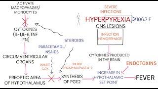 PATHOGENESIS OF FEVER