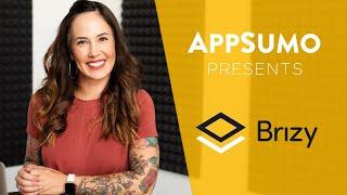 Brizy How-To on AppSumo