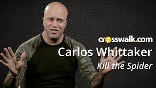 Kill the Spider: An Interview with Carlos Whittaker