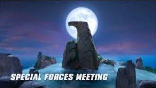 Angry birds-secret meeting