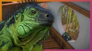 Reptile House Interior | Planet Zoo Franchise Mode [4k60fps]