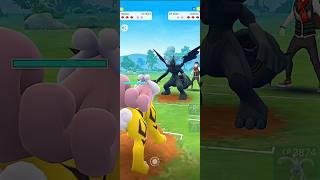 Raikou V/S Zekrom PVP Electric Legendary Battle in #pokemongo