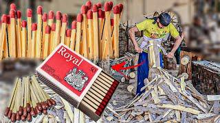 Incredible Matches Sticks Manufacturing Mass Production Manufacturing process