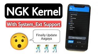 NGK System Ext Support Kernel For Poco F1. Install No Gravity Kernel On Poco F1.