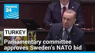 Sweden closer to NATO membership after Turkish parliamentary committee vote • FRANCE 24 English