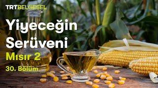 Yiyeceğin Serüveni | Mısır (2.Bölüm) | TRT Belgesel