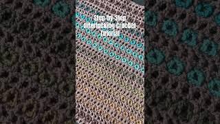 Step-by-Step Interlocking Crochet Tutorial and Free Pattern #learntocrochet  #crochetforbeginners