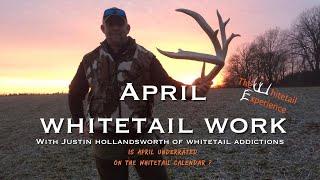 April Deer Hunting Checklist with Justin Hollandsworth of Whitetail Addictions| Is April Underrated?