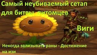 WoW Виги - бои питомцев Неубиваемый сетап / Некогда зализывать раны - Достижение на изи