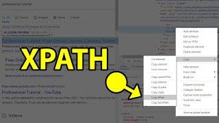 XPath in Selenium WebDriver Tutorial: How to Find XPath?