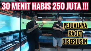 HUNNTING PERTAMA AWAL TAHUN !!! HABISKAN BUDGET 250 JUTA DALAM WAKTU SETENGAH JAM UNTUK BELI IKAN