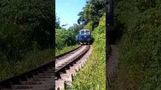 #udarata menike train  | #macs48 #srilanka #srilankarailway #upcountry #kadugannawa #badulla 