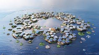 OCEANIX – A sustainable floating city concept