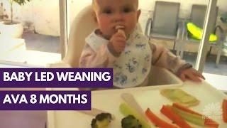 Baby Led Weaning (Miss Ava)