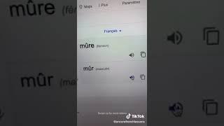 Cat french translator - mur tiktok