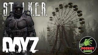  DayZ Stalker PVE - День 22й (Server - DarkOasis Hardcore)