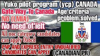 Yukon pilot program 2020 (YCP) Yukon pilot program Yukon pilot program canada (IN HINDI)