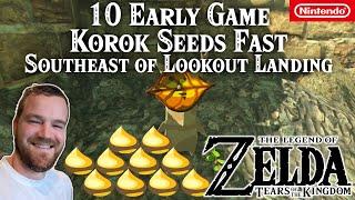 10 Korok Seeds Early Game FAST | Southeast of Lookout Landing | Zelda Tears of the Kingdom