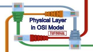 Physical layer  in OSI Model | Physical layer Protocols |  Physical Layer Tutorial | networking tips