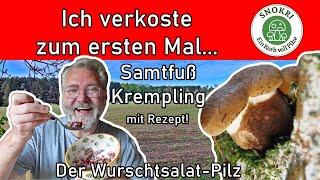 Pilze zum ersten Mal verkosten - Samtfuß Krempling - Wurstsalatpilz - Rezept für veganen Wurstsalat