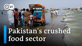 How Pakistan's flood catastrophe destroyed the agricultural industry | DW News