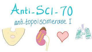 Anti-Scl-70 (Antitopoisomerase I) Antibodies
