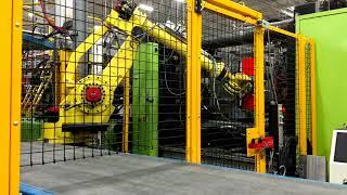 Fanuc Robot - 2 Cavity EOAT Carpet Load