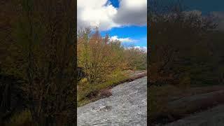 Fall aesthetic Hoosac Range Trail