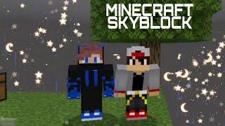 Playing Skyblock with my bro...