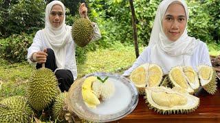 MASAK DALAM KEBUN | KUTIP DURIAN TERUS BUAT PULUT DURIAN ,Berlemak sedapnye..