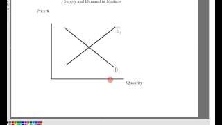 Kiwi Andy explains Supply and Demand in Markets. Basic Economics.