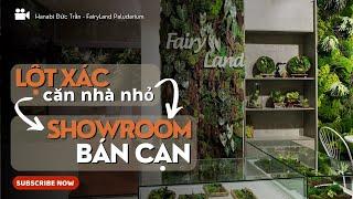 Review Showroom FAIRYLAND . Showroom bán cạn nhỏ giữa lòng Sài Gòn | FairyLand Paludarium